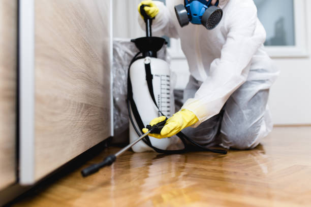 Best Wasp Removal Services  in Glen Rock, NJ