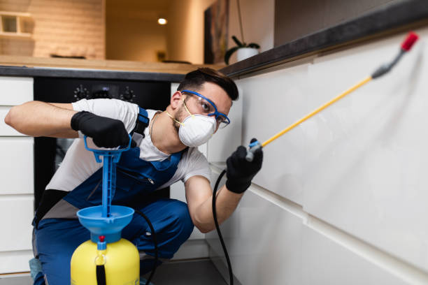 Best Ant Control Services  in Glen Rock, NJ