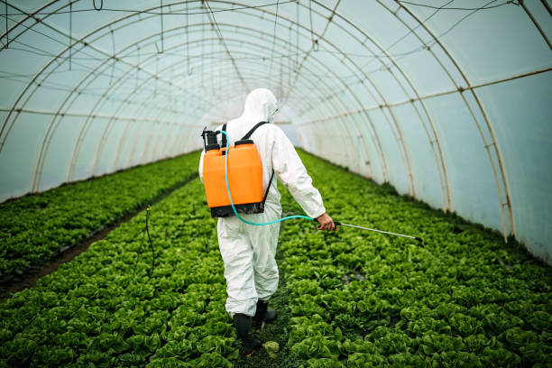 Best Pest Removal Services  in Glen Rock, NJ