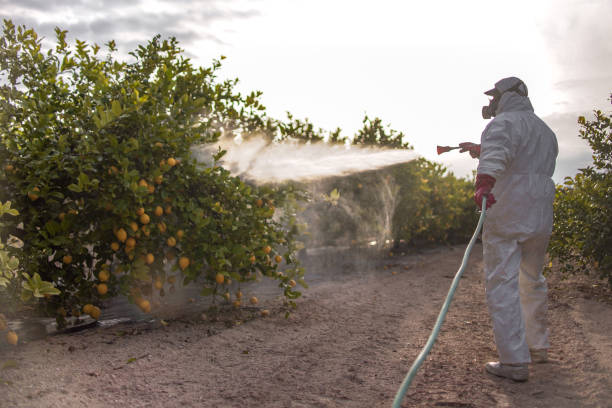 Best Pest Control Cost  in Glen Rock, NJ
