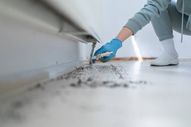 Bird Control in Glen Rock, NJ